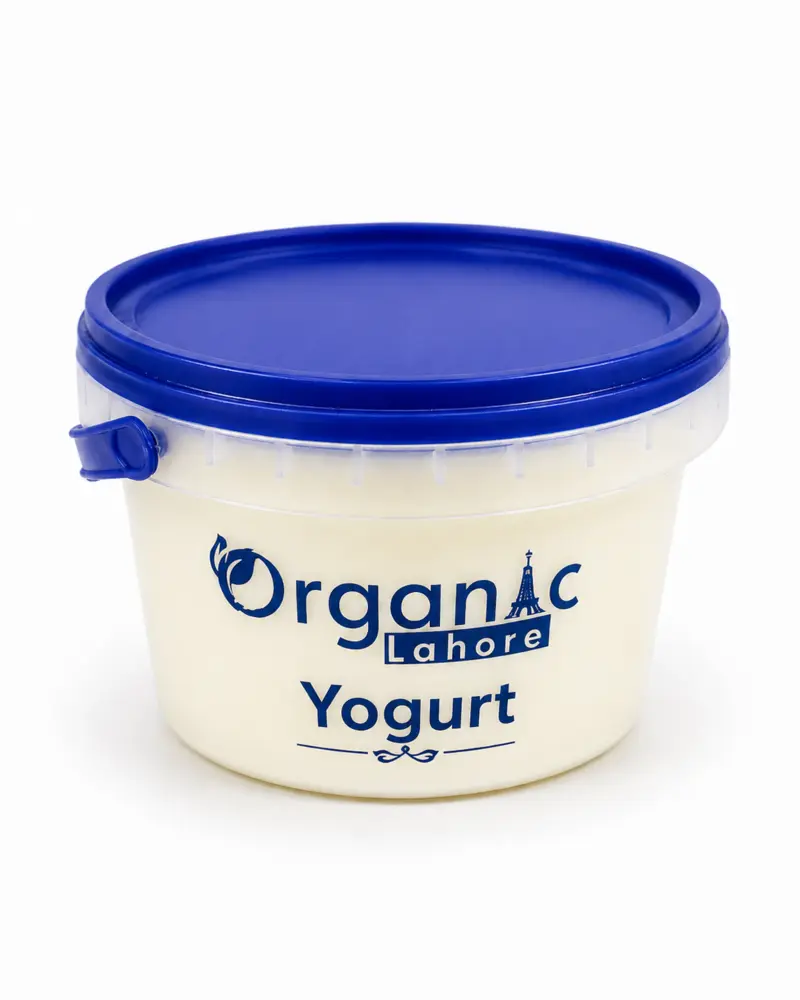 Organic Lahore Yogurt